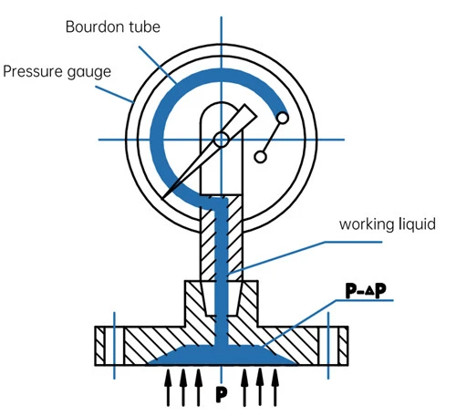 SS316 Diaphragm Seal Pressure Gauge (1) SS316 Diaphragm Seal Pressure Gauge (1)