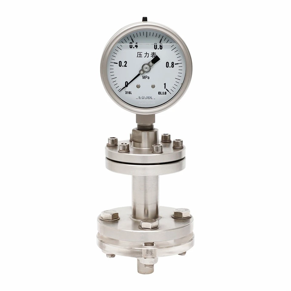 Threaded Flange Diaphragm Seal Pressure Gauge manufacturers Threaded Flange Diaphragm Seal Pressure Gauge manufacturers