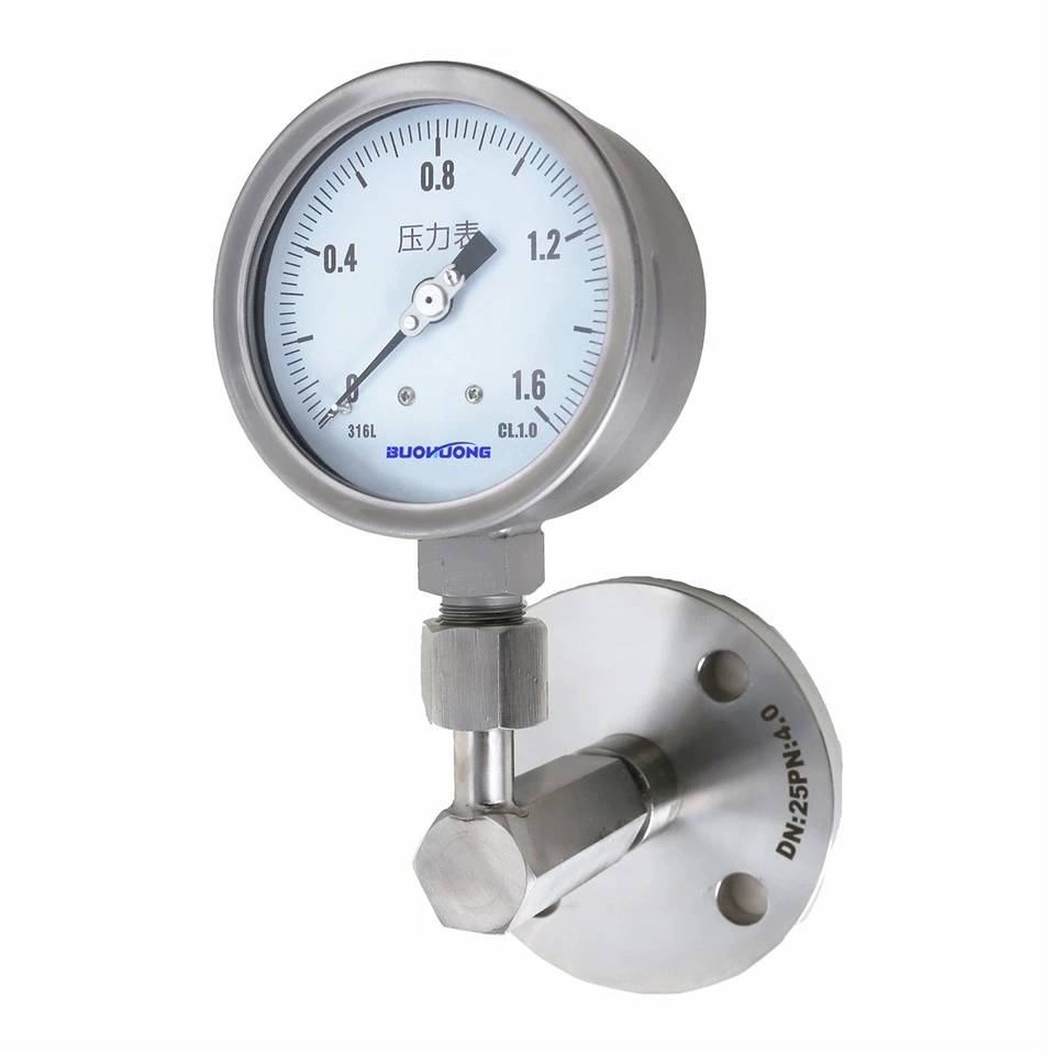 Threaded Flange Diaphragm Seal Pressure Gauge suppliers Threaded Flange Diaphragm Seal Pressure Gauge suppliers