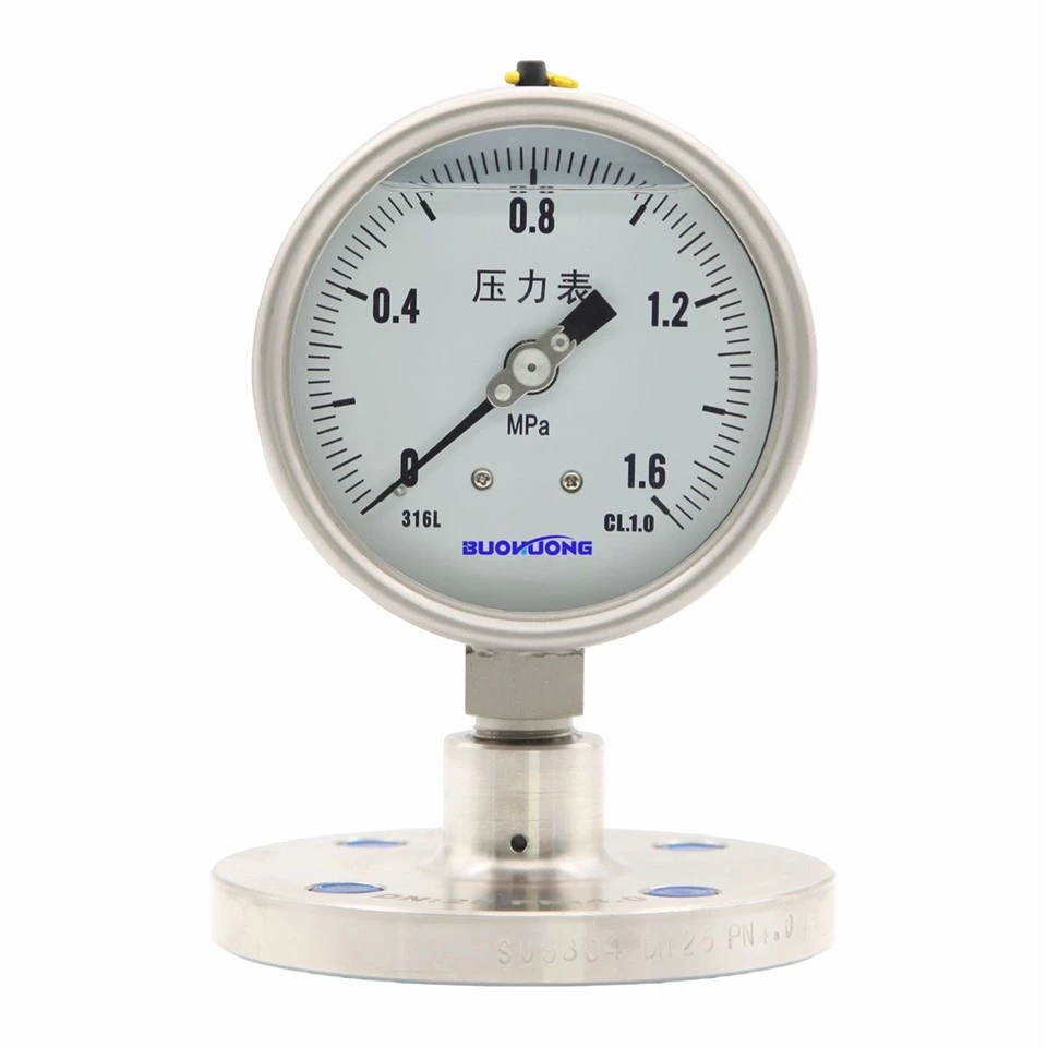 Threaded Flange Diaphragm Seal Pressure Gauge manufacturers Threaded Flange Diaphragm Seal Pressure Gauge manufacturers